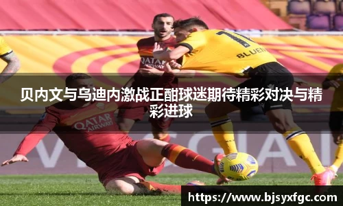 betway必威西汉姆联